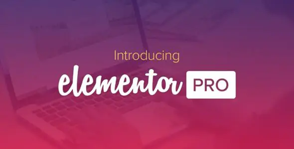 Elementor PRO WordPress Page Builder + Pro Templates 3.31.0